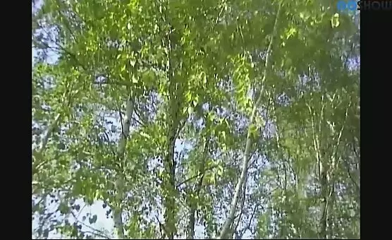 Outdoor Cock Stroking and Handjobs