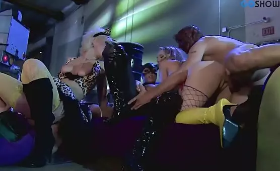 Males and Feline Movie Set Orgies